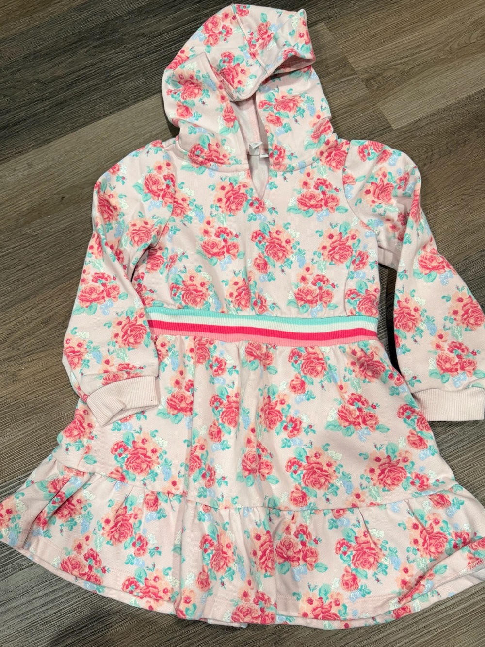 Janie and Jack Pink Floral Hoodie Dress with Striped Waistband